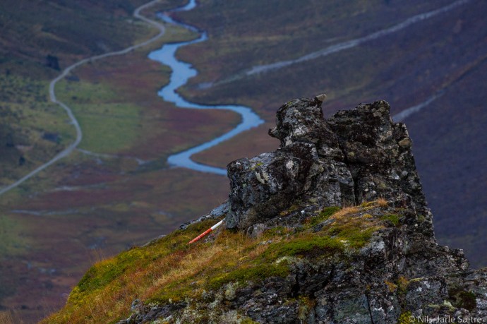 Bruker man fantasien og legger godviljen til, så ser man kanskje at en hund ligger og ser mot Romedalen.
