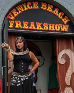 Bildet sier alt. Bydelen Venice Beach er kanskje verdens fremste Freakshow.